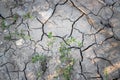 Dry cracked soil on a field, global warming