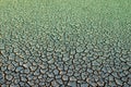 Dry soil background Royalty Free Stock Photo