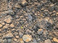 Dry soil in construction site Royalty Free Stock Photo