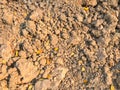 Dry soil in construction site Royalty Free Stock Photo