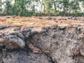 Dry soil in construction site Royalty Free Stock Photo