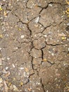 Dry soil and cracked effect during the dry season Royalty Free Stock Photo