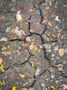 Dry soil and cracked effect during the dry season Royalty Free Stock Photo