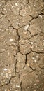 Dry soil and cracked effect during the dry season Royalty Free Stock Photo