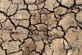 Dry soil cracked at the rice field in the El Nino climate effect