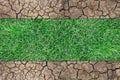 dry soil and green grass Royalty Free Stock Photo