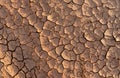 Dry soil ground cracks background texture Royalty Free Stock Photo