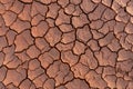 Dry soil ground cracks background texture in drought Royalty Free Stock Photo