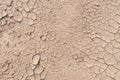 Dry soil ground cracks background texture in drought Royalty Free Stock Photo