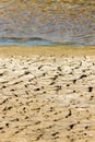 dry soil, Parc Regional de Camargue, Provence, France Royalty Free Stock Photo