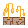 Dry soil for plants icon vector outline illustration