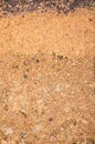Dry soil surface cracks with stone texture background Royalty Free Stock Photo