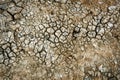 Dry soil surface with deep cracks textured background. Dried and cracked soil. Climate change. Desertification. Cracked earth, Royalty Free Stock Photo