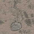 Dry soil surface ground cracks background texture. Grunge rock grey texture background, earth top view background Royalty Free Stock Photo