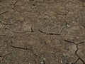 Dry soil surface texture for abstrak background Royalty Free Stock Photo