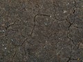 Dry soil surface texture for abstrak background Royalty Free Stock Photo