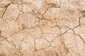 Dry soil texture Royalty Free Stock Photo