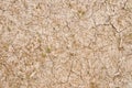 Dry soil texture Royalty Free Stock Photo