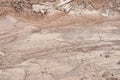 Dry soil texture Royalty Free Stock Photo