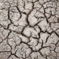 Dry soil texture Royalty Free Stock Photo