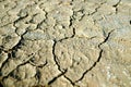 Cracked dry land without water. Royalty Free Stock Photo