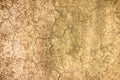Dry soil texture background Royalty Free Stock Photo