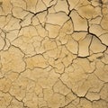 Dry soil texture. Royalty Free Stock Photo