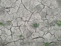 Dry soil texture on the ground. nature Royalty Free Stock Photo