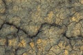 Dry soil texture on the ground Royalty Free Stock Photo