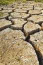 Dry soil texture on the ground. Royalty Free Stock Photo