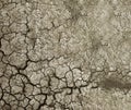 Dry Soil Textures and Background Royalty Free Stock Photo