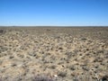 Dry South Africa Karoo landscape