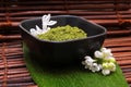 Dry spa mud and green leaf Royalty Free Stock Photo