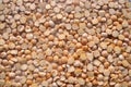 dry split yellow peas scattered in a dense layer Royalty Free Stock Photo
