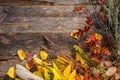 Dry Stalks Fall Background