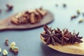 Dry Star anise clove cinnamon and cardamom on a brown wooden spatula. Natural food spices and seasonings. Tasty eating