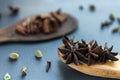 Dry Star anise clove cinnamon and cardamom on a brown wooden spatula. Natural food spices and seasonings. Tasty eating