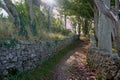 Ancient Dry stone walling and woodland track