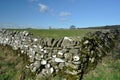 Dry stone wall Royalty Free Stock Photo