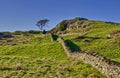 Dry stone wall in countryside Royalty Free Stock Photo
