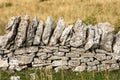 Dry stone wall for Grazing and Agriculture - Italian Alps
