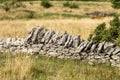Dry stone wall for Grazing and Agriculture - Italian Alps