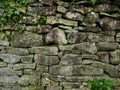 Dry stone wall with moss and ivy Royalty Free Stock Photo