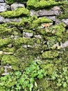 Dry Stone Wall Royalty Free Stock Photo
