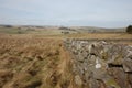 Dry stone wall northumberland Royalty Free Stock Photo