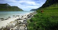 Dry stone wall on Seat Sandal Royalty Free Stock Photo