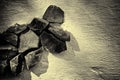 Dry Stone Wall in Vintage Sepia