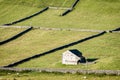 Dry Stone Walls and Barns - Yorkshire Dales, England, Royalty Free Stock Photo