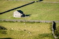 Dry Stone Walls and Barns - Yorkshire Dales, England, Royalty Free Stock Photo