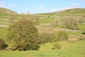 Patchwork of Fields - Yorkshire Dales Dry Stone Walls